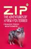 Zip the Adventures of a Frisky Fox Terrier