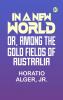 In A New World or Among The Gold Fields Of Australia