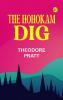 The Hohokam Dig