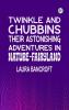 Twinkle and Chubbins: Their Astonishing Adventures in Nature-Fairyland