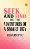 Seek and Find or The Adventures of a Smart Boy