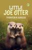 LITTLE JOE OTTER