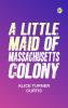 A Little Maid of Massachusetts Colony