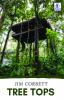 TREE TOPS
