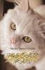 Cat's Paw
