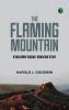The Flaming Mountain: A Rick Brant Science-Adventure Story
