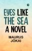 Eyes Like the Sea  A Novel