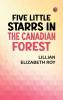 Five Little Starrs in the Canadian Forest