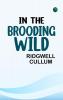 In the Brooding Wild