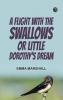 A Flight with the Swallows; Or Little Dorothy's Dream