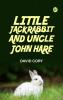 Little Jack Rabbit and Uncle John Hare