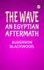 The Wave: An Egyptian Aftermath