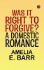 Was It Right to Forgive? A Domestic Romance