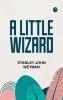 A Little Wizard