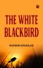 The White Blackbird