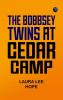 The Bobbsey Twins at Cedar Camp