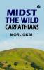 Midst the Wild Carpathians