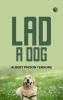 Lad: A Dog