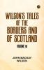 Wilson's Tales of the Borders and of Scotland Volume 18