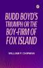 Budd Boyd's Triumph or The Boy-Firm of Fox Island