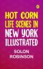 Hot corn: Life Scenes in New York Illustrated