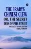 The Bradys' Chinese Clew; Or The Secret Dens of Pell Street