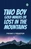 Two Boy Gold Miners  Or Lost in the Mountains
