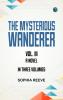 The Mysterious Wanderer Vol. III A Novel in Three Volumes