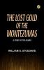 The Lost Gold of the Montezumas: A Story of the Alamo