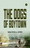 The Dogs of Boytown