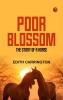 Poor Blossom: The Story of a Horse