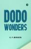 Dodo Wonders--