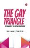 The Gay Triangle  The Romance of the First Air Adventurers