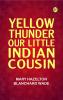 Yellow Thunder Our Little Indian Cousin