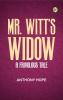 Mr. Witt's Widow  A Frivolous Tale