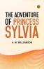 The Adventure of Princess Sylvia