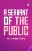 A Servant of the Public
