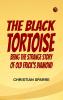 The Black Tortoise: Being the Strange Story of Old Frick's Diamond