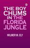 The Boy Chums in the Florida Jungle
