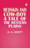 Redskin and Cow-Boy: A Tale of the Western Plains