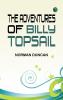 The Adventures of Billy Topsail