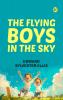 The Flying Boys in the Sky