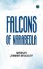 Falcons of Narabedla