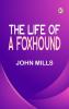 The Life of a Foxhound