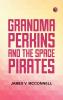 Grandma Perkins and the Space Pirates