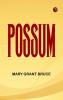 Possum