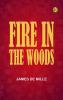 Fire in the Woods
