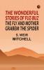 The Wonderful Stories of Fuz-Buz the Fly and Mother Grabem the Spider