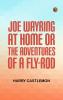 Joe Wayring at Home; or The Adventures of a Fly-Rod