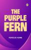 The Purple Fern
